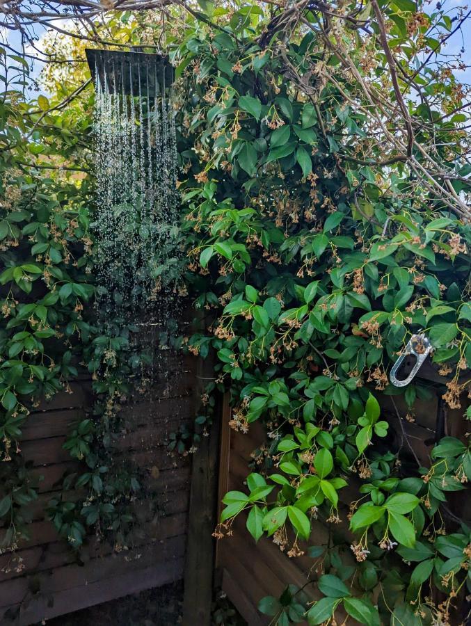 ホテル The Bean Tree マグレゴー エクステリア 写真